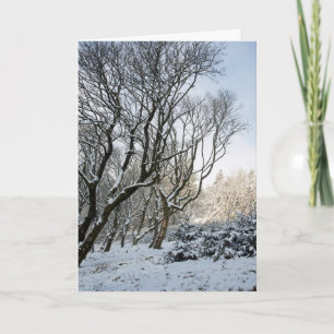 The Macclesfield Forest Winter Card