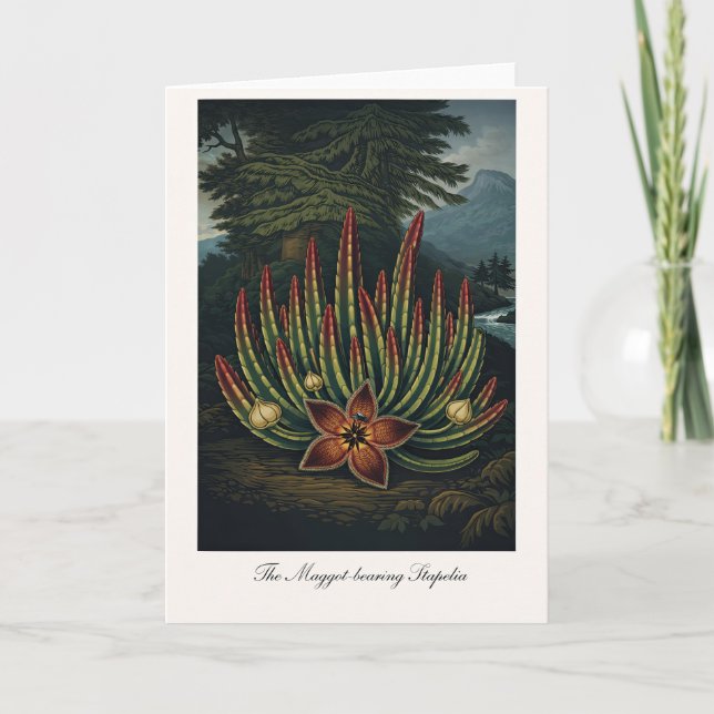 The Maggot-Bearing Stapelia — Modern Botanical Rei Card (Front)