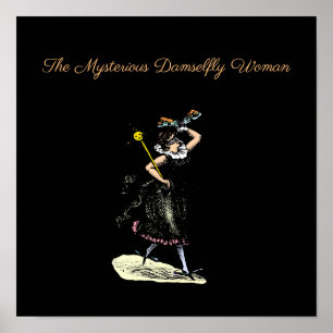 The magical damselfly woman poster