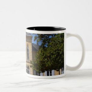 The main chateau building, renovated by Two-Tone coffee mug