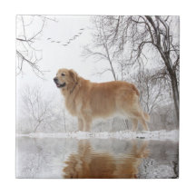 The Majestic Golden Retriever