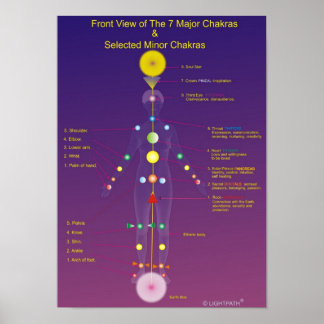 The Major and Minor Chakras Poster