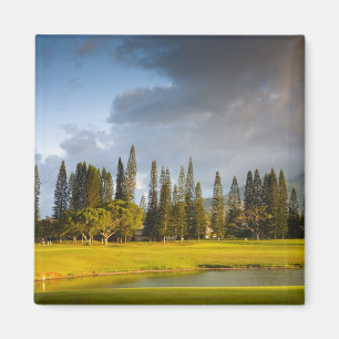 The Makai golf course in Princeville Magnet