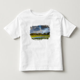 The Makai golf course in Princeville Toddler T-Shirt