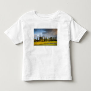 The Makai golf course in Princeville Toddler T-Shirt