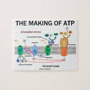 The Making Of ATP Photosynthetic Attitude Jigsaw Puzzle