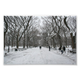 The Mall, Central Park NY Photo Print