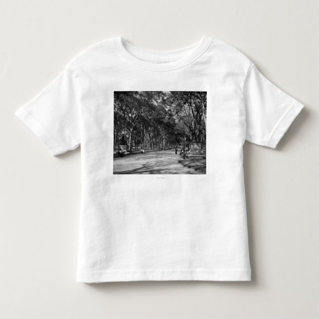 The Mall in Central Park in New York City Toddler T-Shirt (Front)