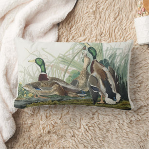The Mallard Duck Audubon Bird Painting Lumbar Cushion