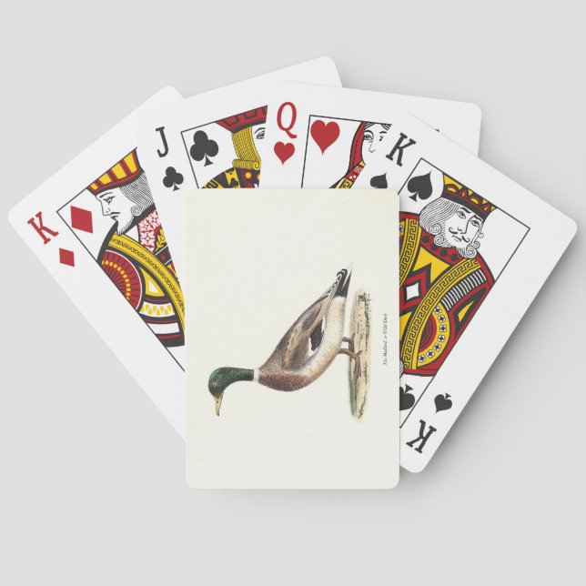 The Mallard or Wild Duck (Anas platyrhynchos) Playing Cards (Back)