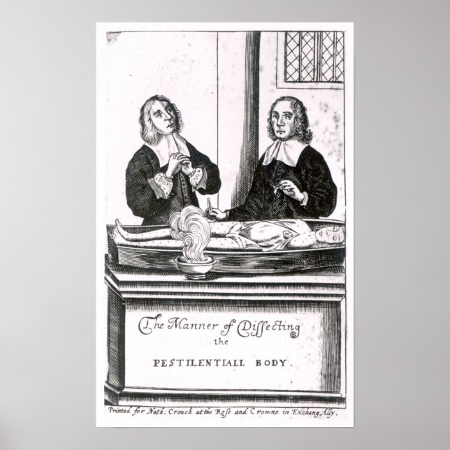 The Manner of Dissecting the Pestilential Body Poster (Front)