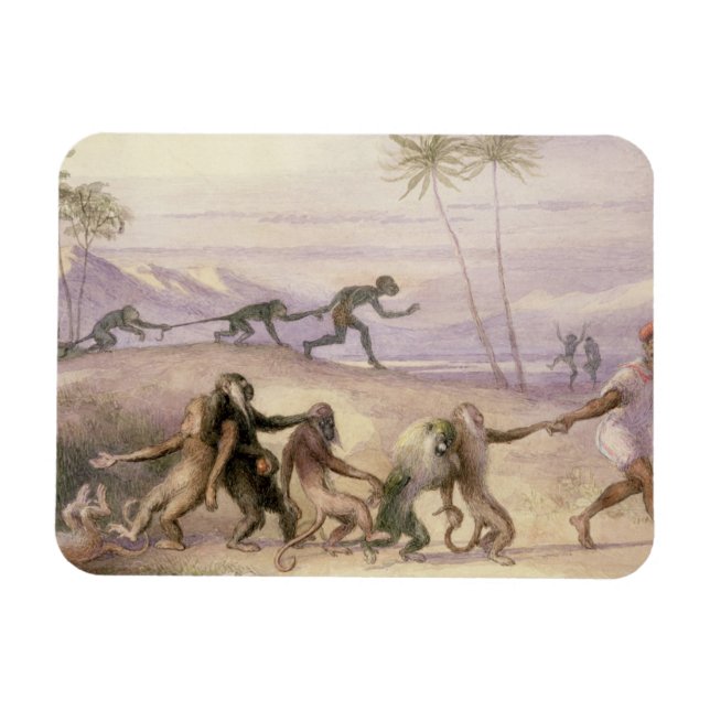 The Manners and Customs of Monkeys Magnet (Horizontal)