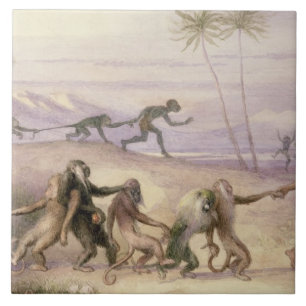 The Manners and Customs of Monkeys Tile