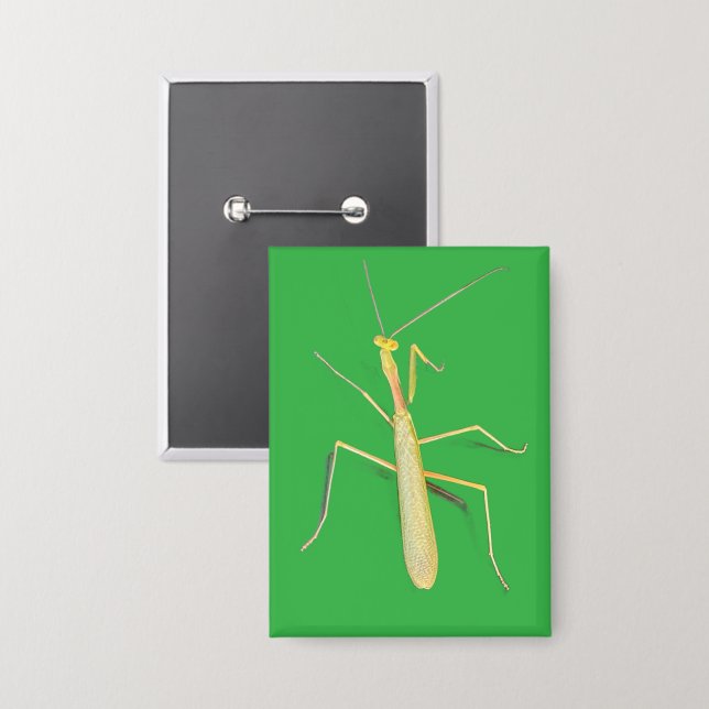 The Mantis, Square (Front/Back)