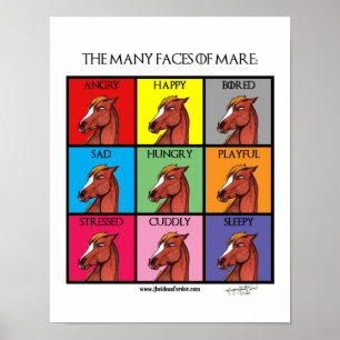 The Many Faces of Mare Poster