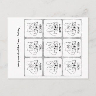 The many moods of a French Bulldog Postcard