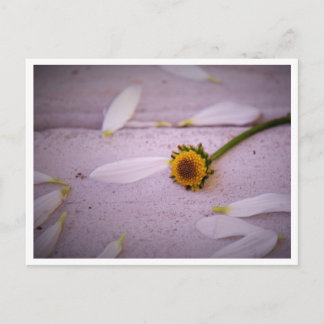 "The Margaret said: YES!" postcard