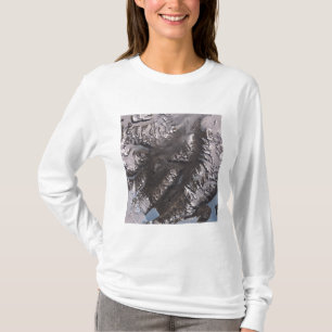 The McMurdo Dry Valleys T-Shirt