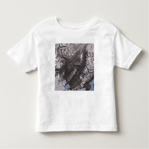 The McMurdo Dry Valleys Toddler T-Shirt