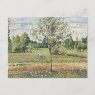 The Meadow with Grey Horse, Eragny, Oil Painting Postcard
