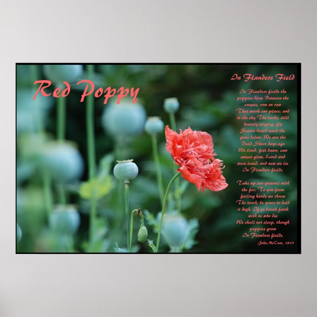 The Meaning of the Red Poppy Poster (Front)