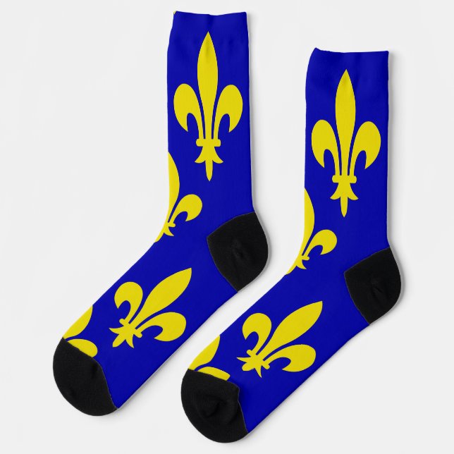 The Medieval Flag of France Socks (Left)