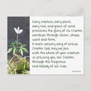 The melody of our lives - A prayer Postcard