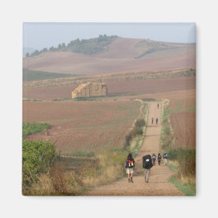 The Meseta Magnet