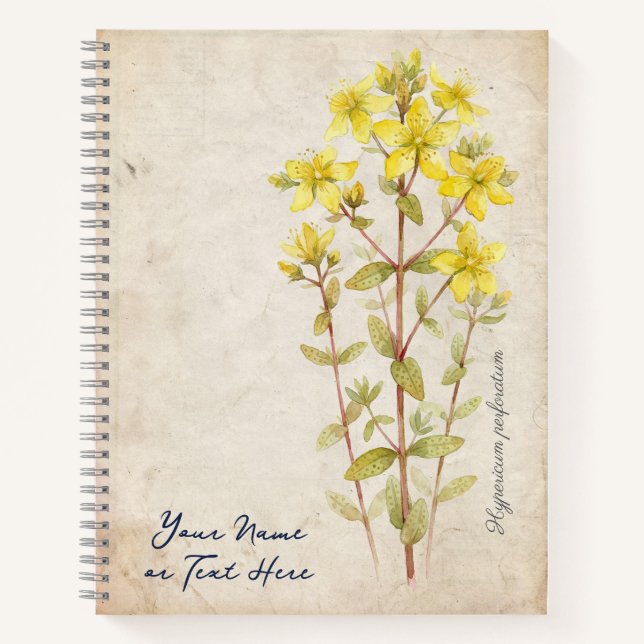 The Midsummer Secret: Hypericum Perforatum Notebook (Front)