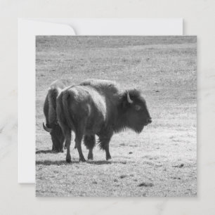 The Mighty Buffalo Thank You Card