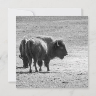 The Mighty Buffalo Thank You Card