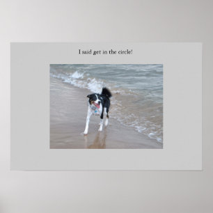 The mighty Collie Poster