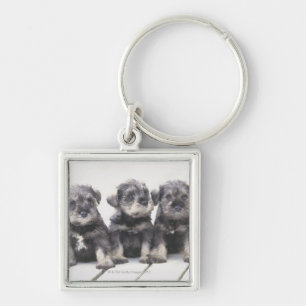 The Miniature Schnauzer is a breed of small dog Key Ring