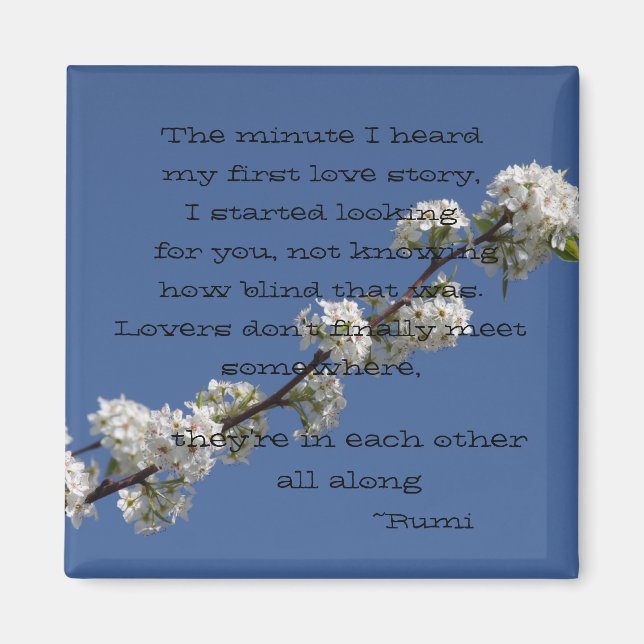 The Minute I heard my first love story Magnet (Front)