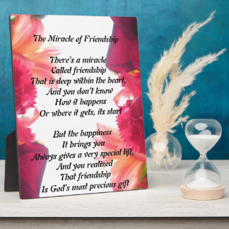 The Miracle of Friendship plaque