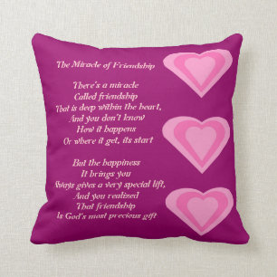 The Miracle of Friendship Poem pillow
