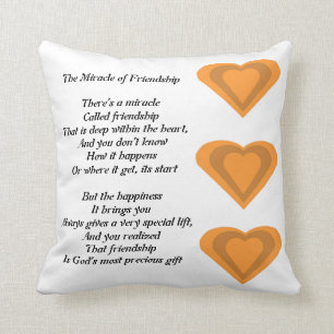 The Miracle of Friendship Poem pillow
