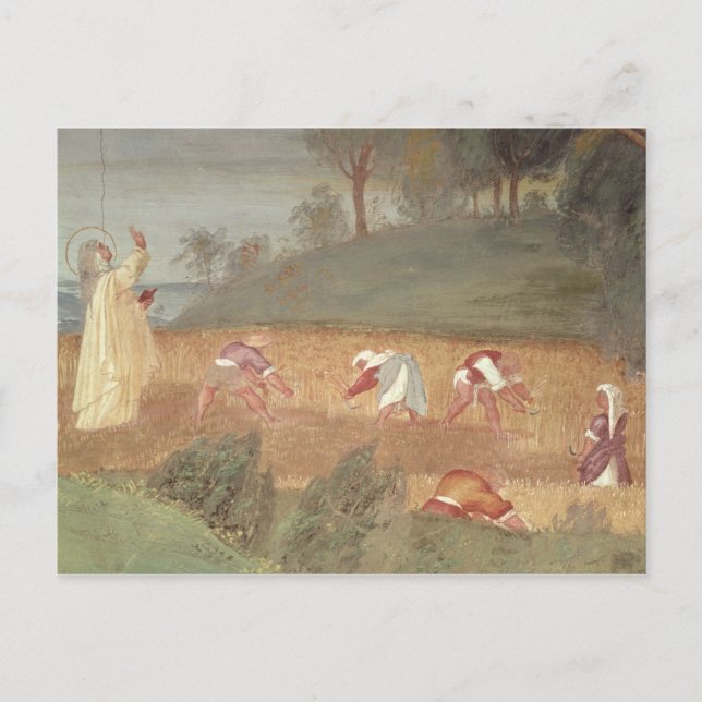 The Miracles of St. Clare of Assisi Postcard (Front)