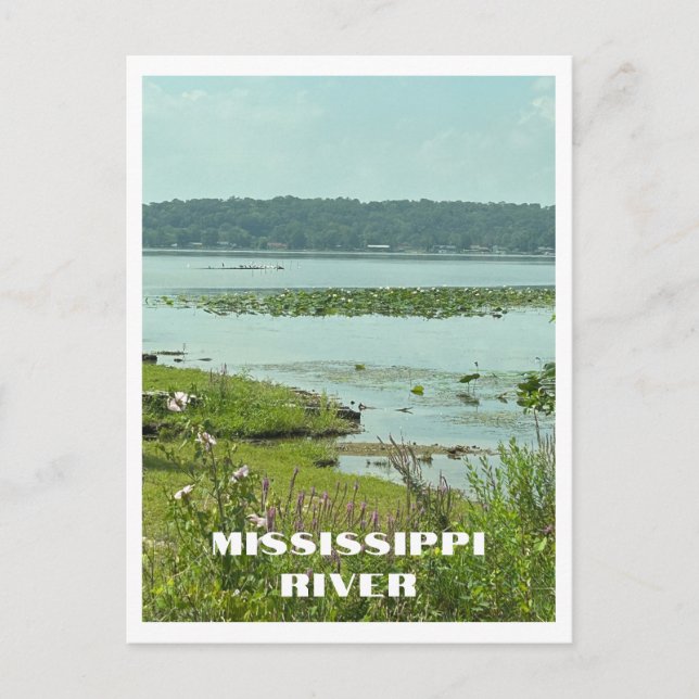 The Mississippi River from the Great River Road Postcard (Front)