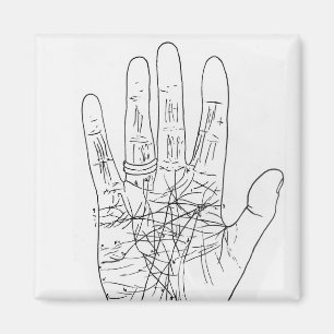 The Model Hand Magnet