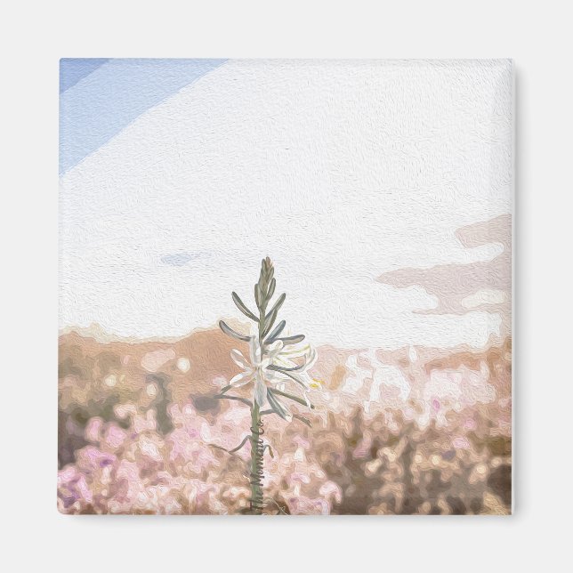 The Moment Co. Magnet (Front)