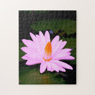 The Monet Effect... Jigsaw Puzzle