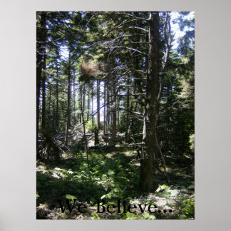 The Monhegan Fairy Poster