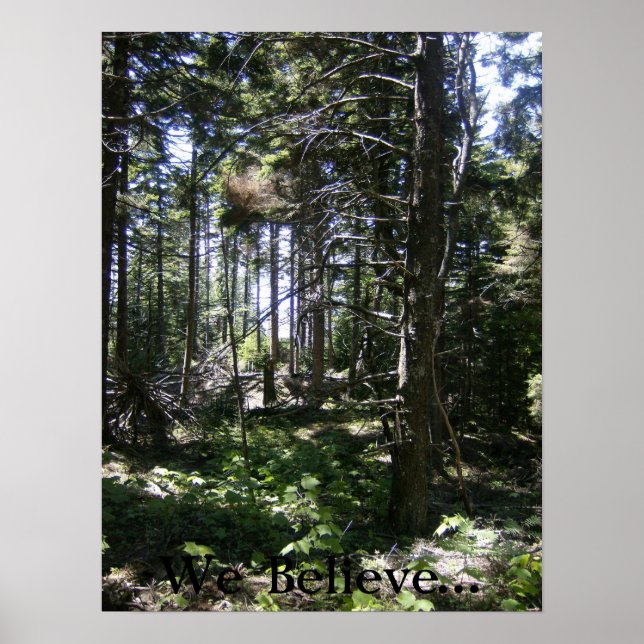 The Monhegan Fairy Poster (Front)