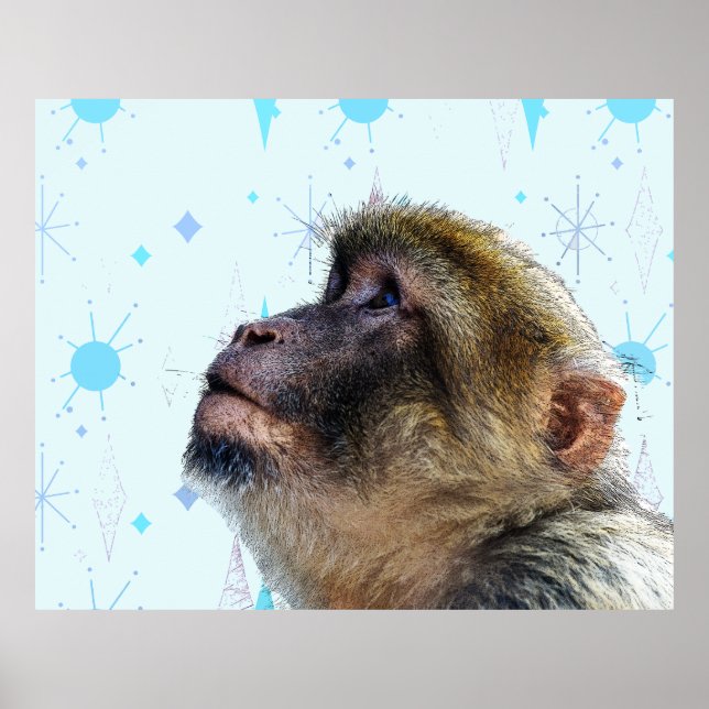 The Monkey Looks At Mid Century Modern Wallpaper Poster (Front)