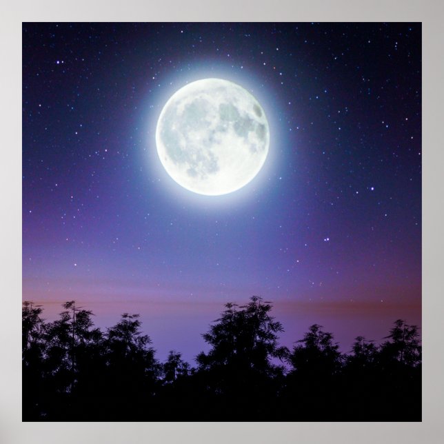 the Moon above the forest Poster (Front)