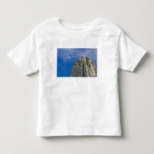 The moon rises and shines through the clouds toddler T-Shirt