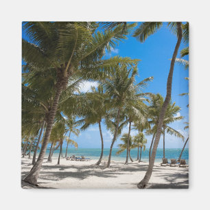 The Moorings Resort, Marathon, Key West, 2 Magnet
