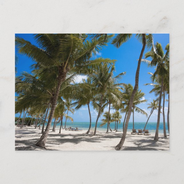 The Moorings Resort, Marathon, Key West, 2 Postcard (Front)