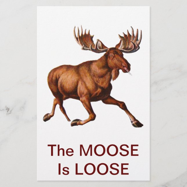 THE MOOSE IS LOOSE (Front)